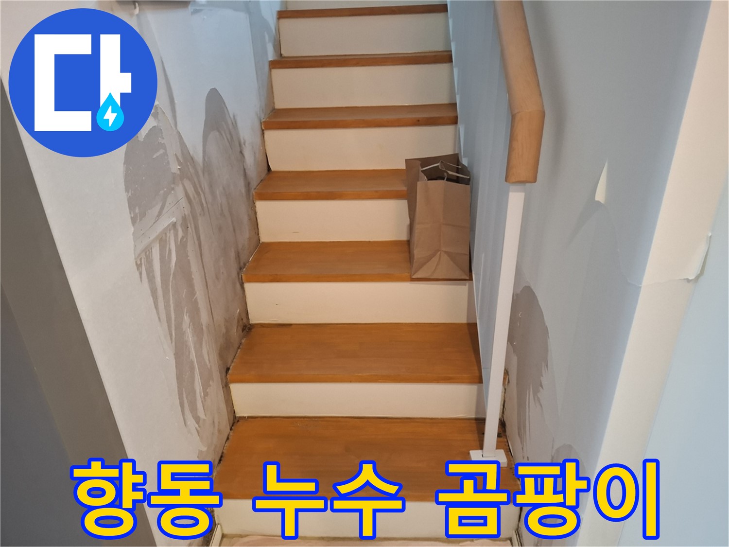 곰팡이 핀 계단 - 향동 누수 초기 증상일 수 있어요