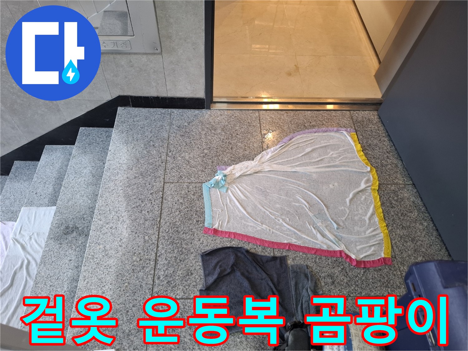 얇은 겉옷과 운동복 - 곰팡이 놀이터