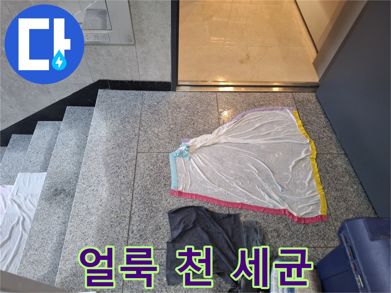 얼룩덜룩 레이스 천과 검정 옷 - 세균 호텔 개장?