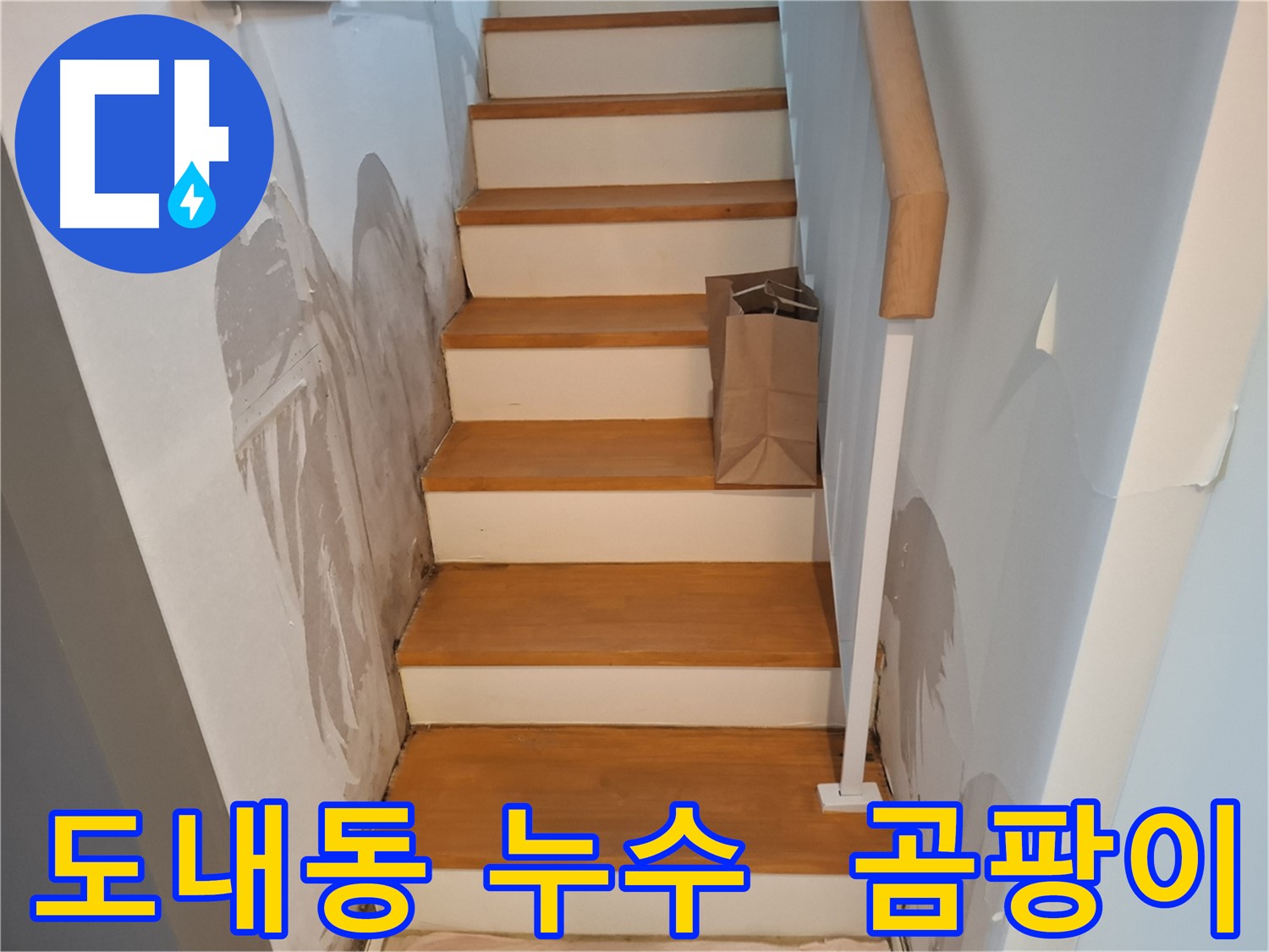 젖은 계단 벽 - 곰팡이 번식 전에 해결