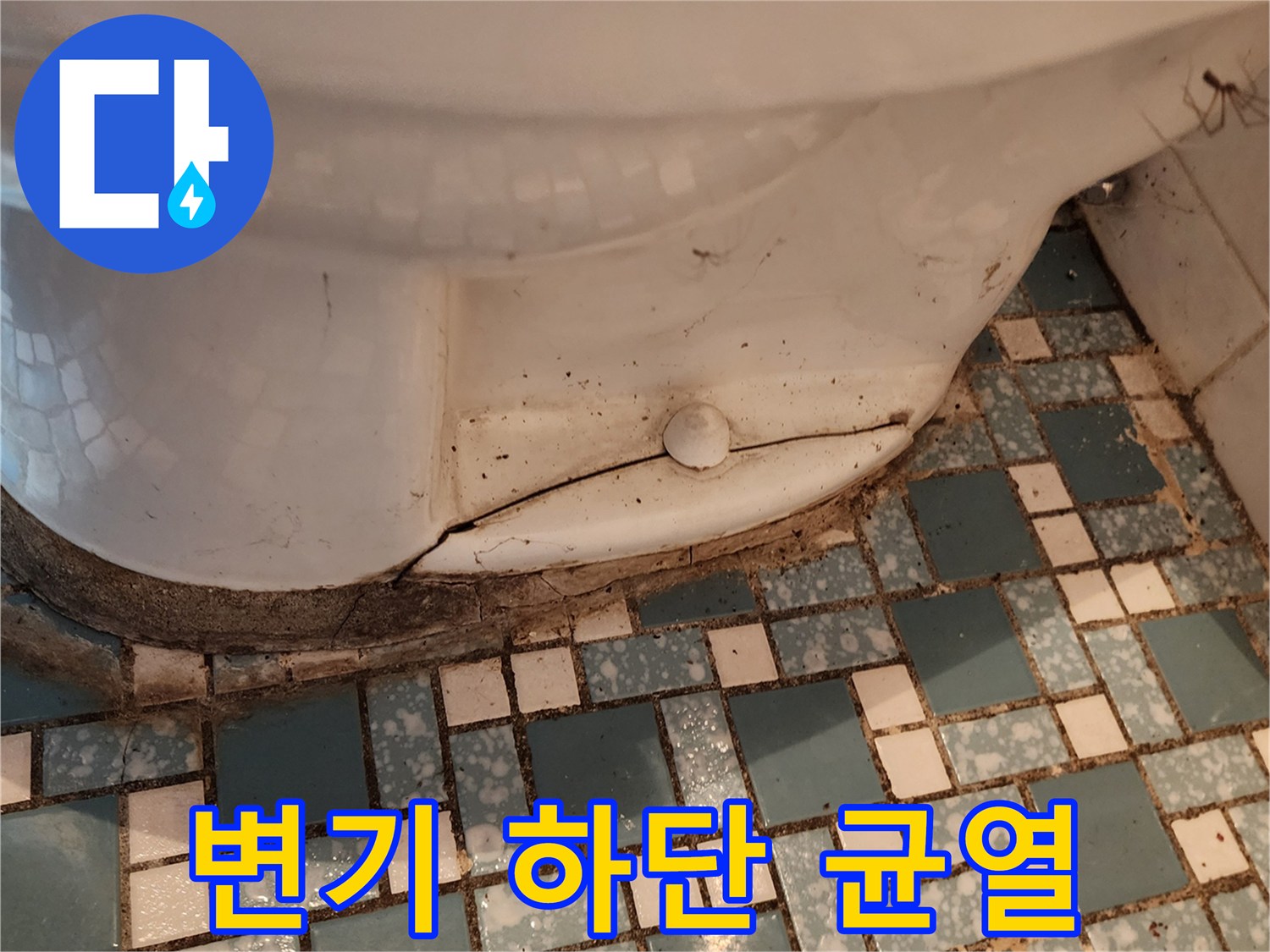 양주시 회천동 화장실 변기 하단 도기 균열과 타일 틈새 상태
