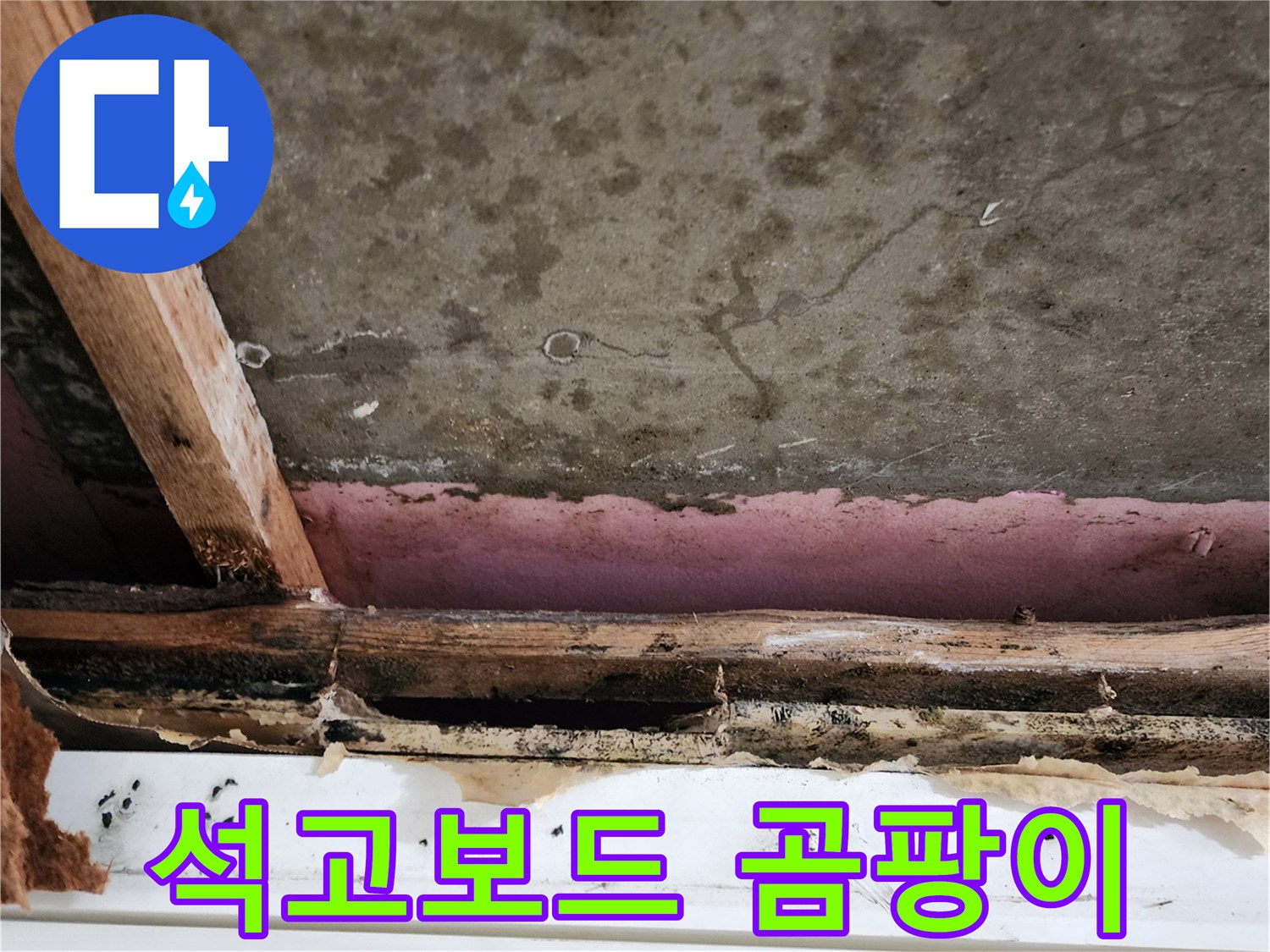 습기로 인해-곰팡이가-번진-천장 석고보드 표면
