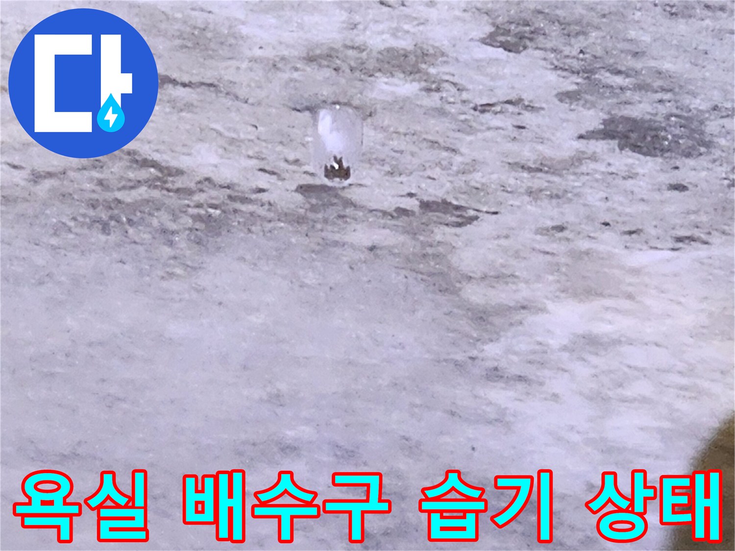 양주시 유양동-욕실 바닥 배수구 주변에 물기가 고여 있는 모습