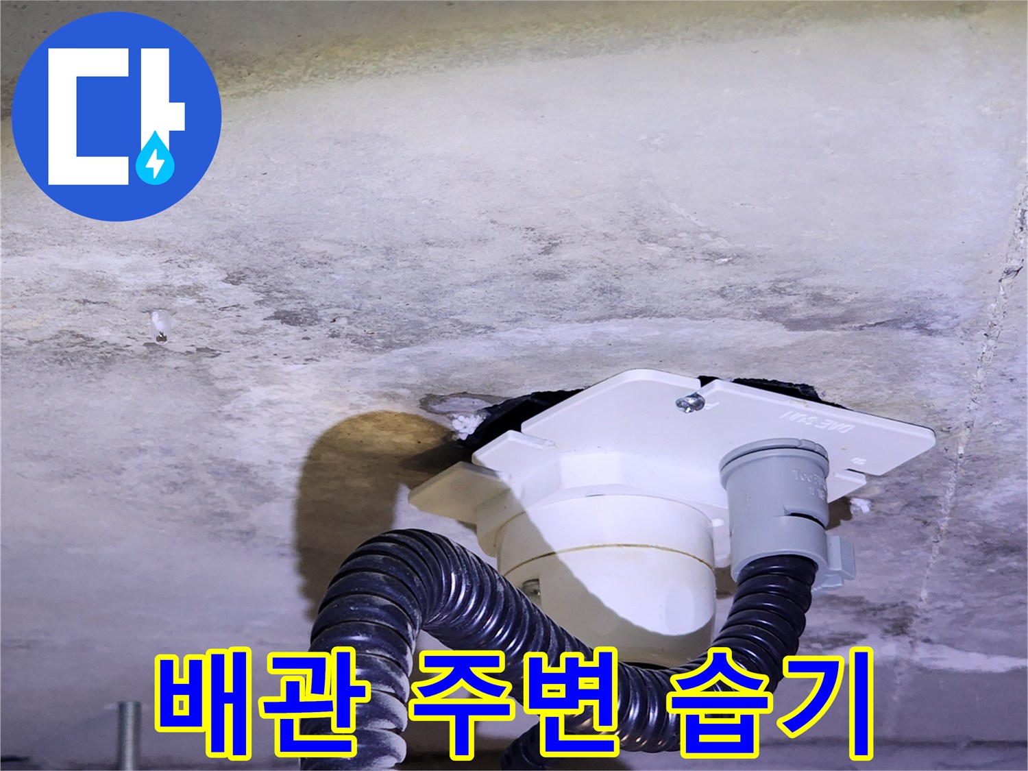 양주시 유양동 천장 배관 주변의 젖은 콘크리트 상태