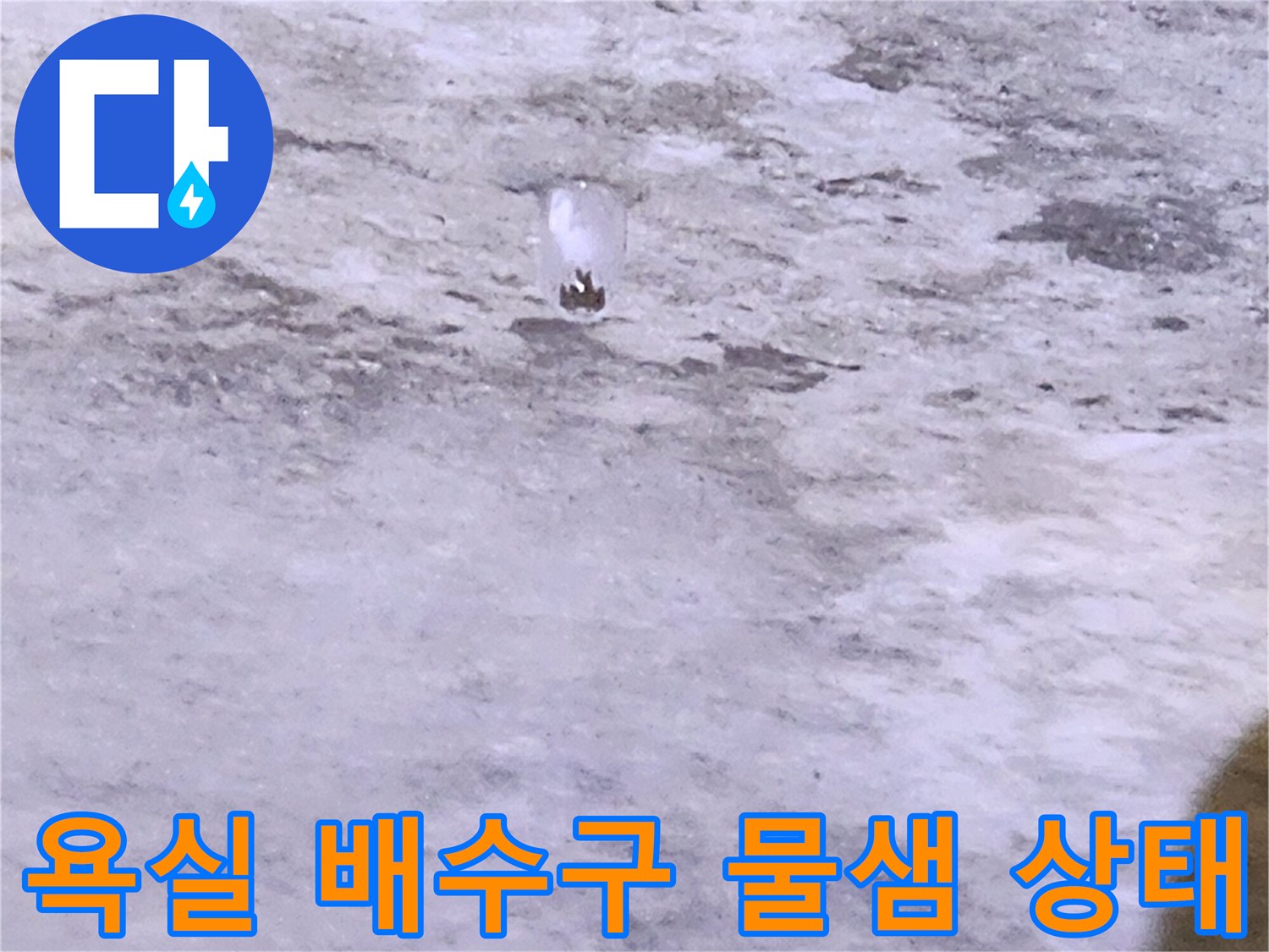 양주시 유양동 화장실 배수구 주변의 습기 맺힘 현상