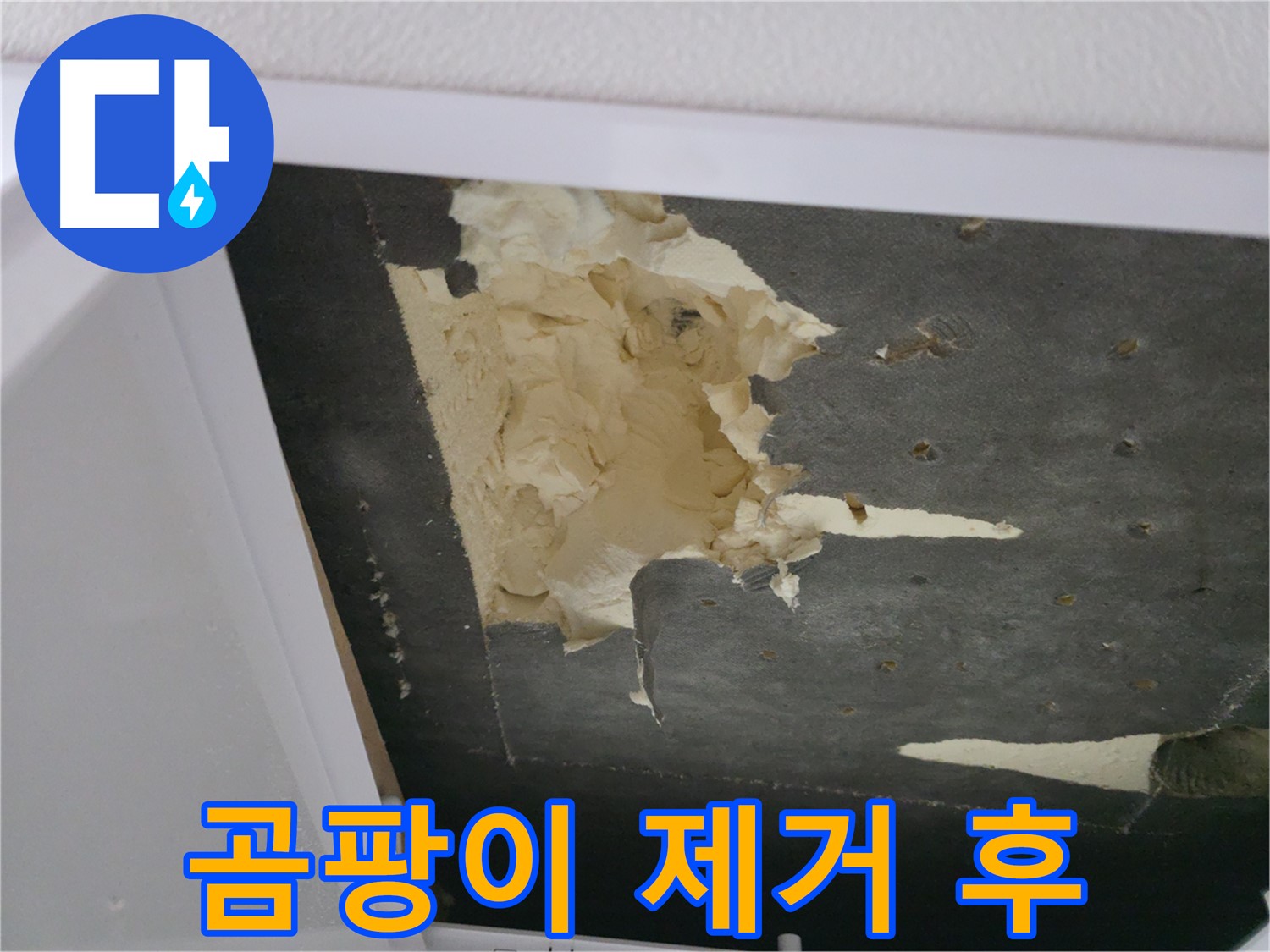 곰팡이 핀 천장 단열재 제거 - 건강한 공간으로