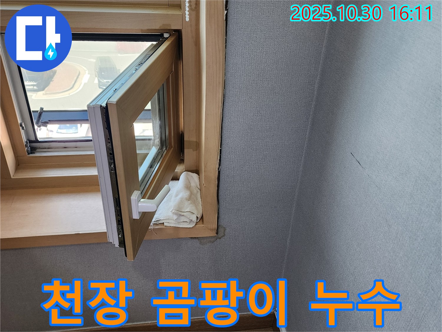 천장 곰팡이 - 누수와 곰팡이의 관계 - 곰팡이 제거 및 누수 해결
