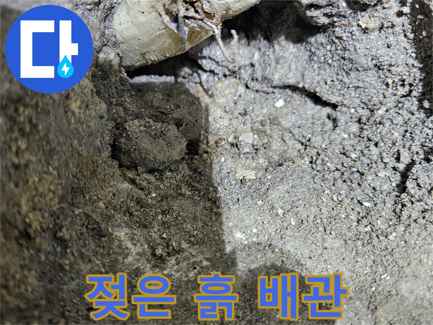 양평 용문 누수 - 젖은 흙과 드러난 배관 - 누수 의심