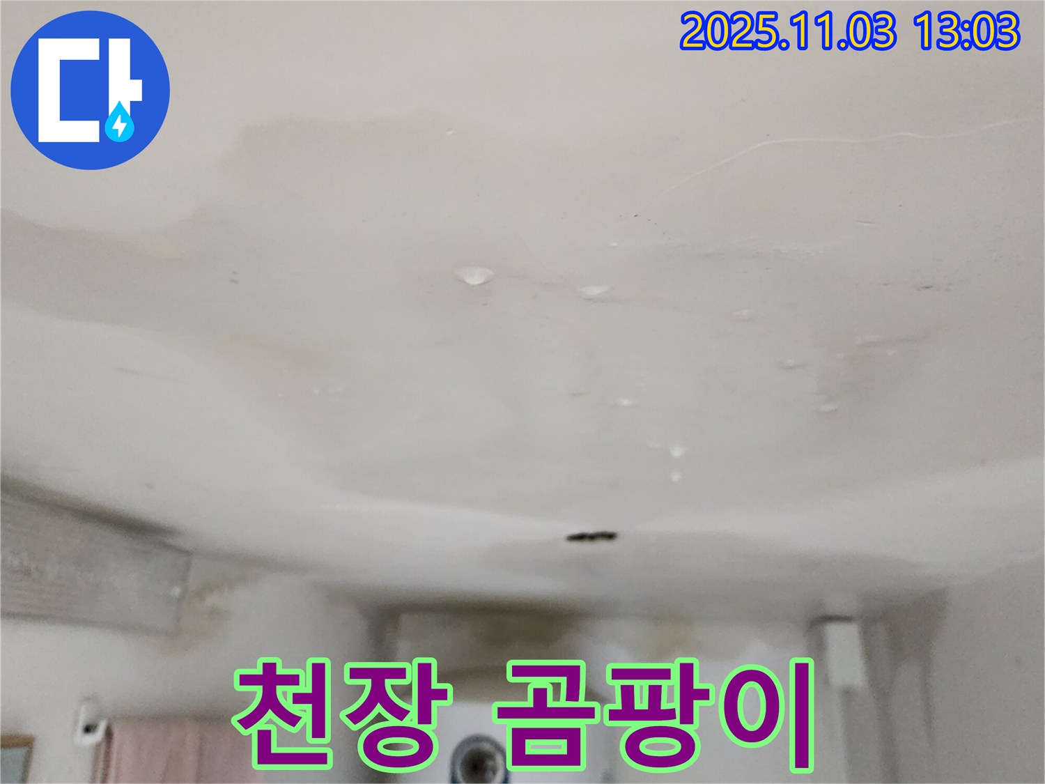 양주시 옥정동 400번지 윗집 보일러 누수 - 곰팡이 발생 원인 해결, 누수탐지 전문가가 곰팡이 발생 원인을 정확히 찾아 해결합니다.