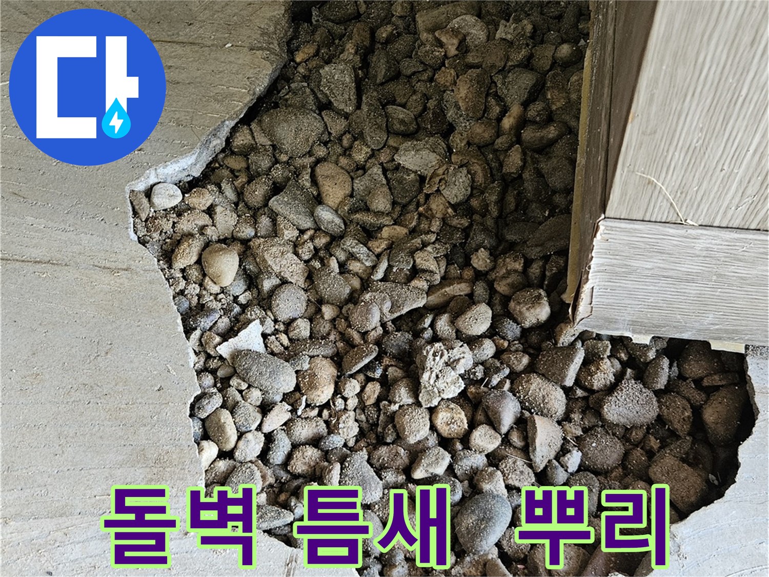 여주 가남 월평리 돌벽 틈새 타고 뿌리 침투