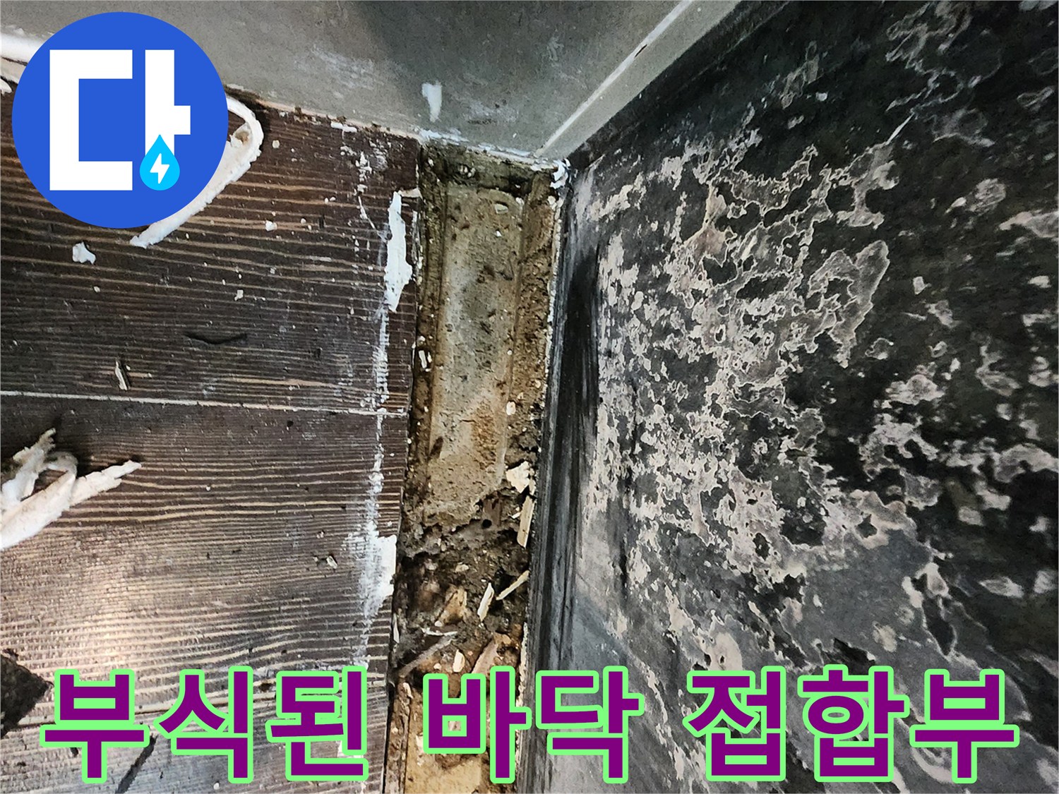 바닥과 벽의 경계-습기로 인해 부식되고 젖어있는 모습
