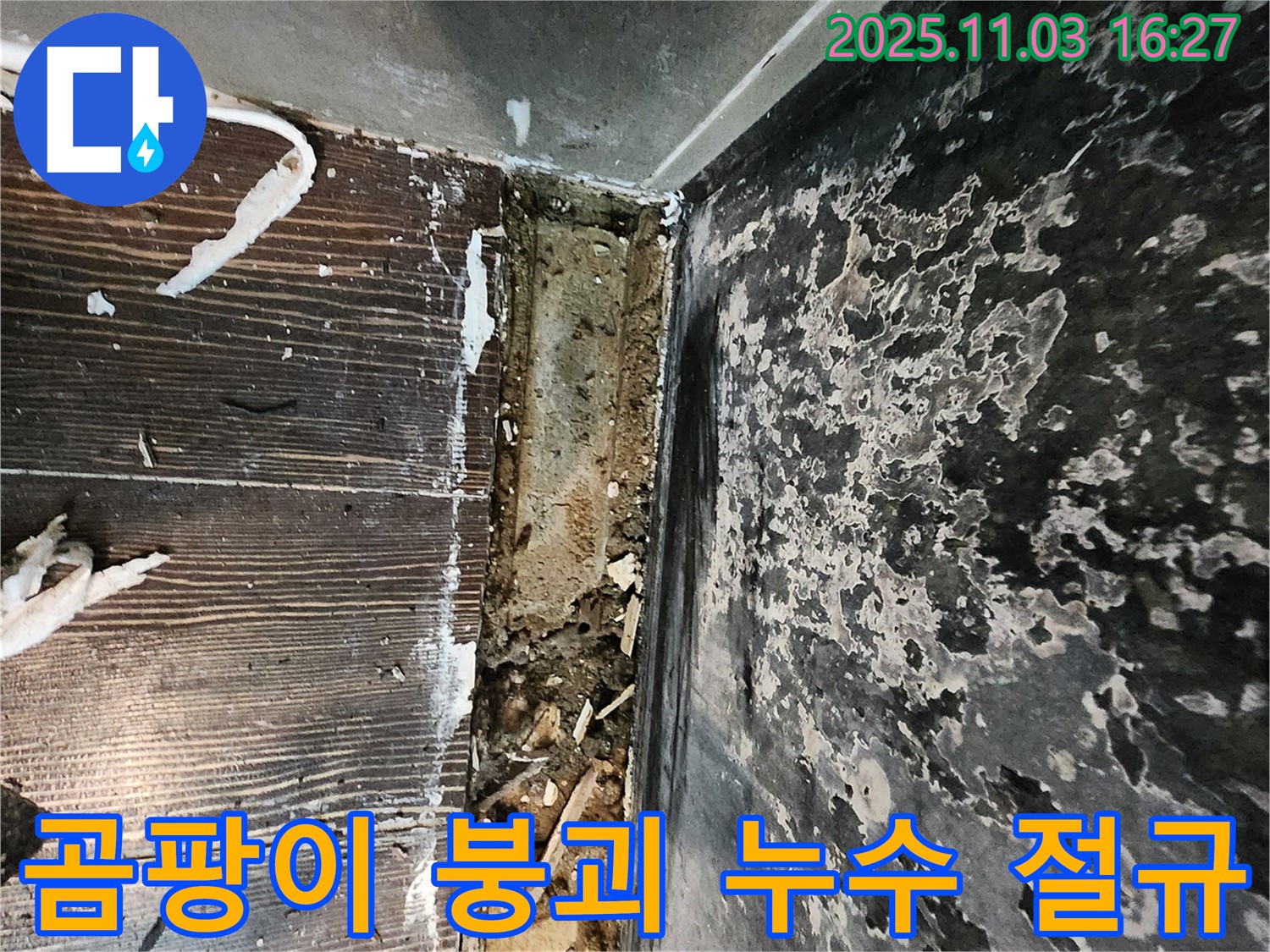 양주시 고암동 누수 - 곰팡이와 함께 붕괴되는 공간! 누수와의 절규를 멈추고 희망을 찾으세요!