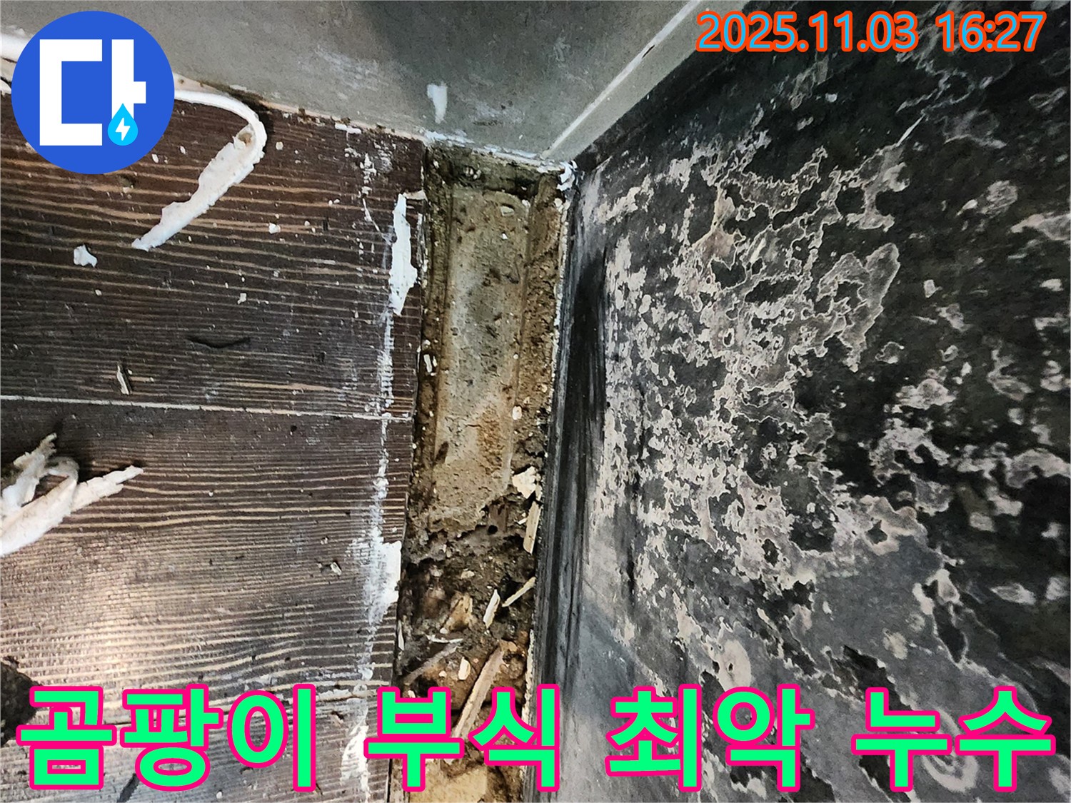 양주시 삼숭동 누수 - 곰팡이와 부식이 함께 진행된 최악의 누수 현장입니다. 신속한 해결이 필요합니다.