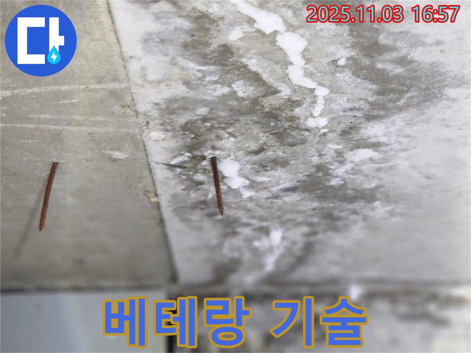 양주시 삼숭동 누수 현장 - 오랜 경험을 가진 베테랑 기술자가 꼼꼼하게 솟은 못 누수를 해결합니다.
