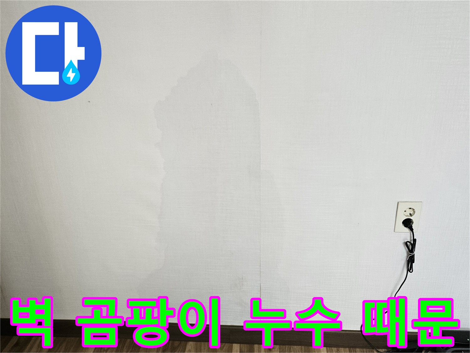 정릉동 스카이힐스테이 벽 곰팡이 - 누수 원인 및 곰팡이 제거