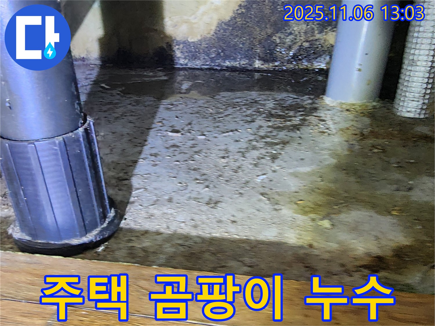고모리 주택 누수 - 곰팡이 심각, 건강에 해로울 수 있습니다.