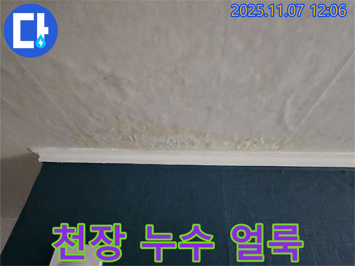 의정부 송산동 천장 누수 현장 - 심각한 누수 얼룩과 젖은 천장