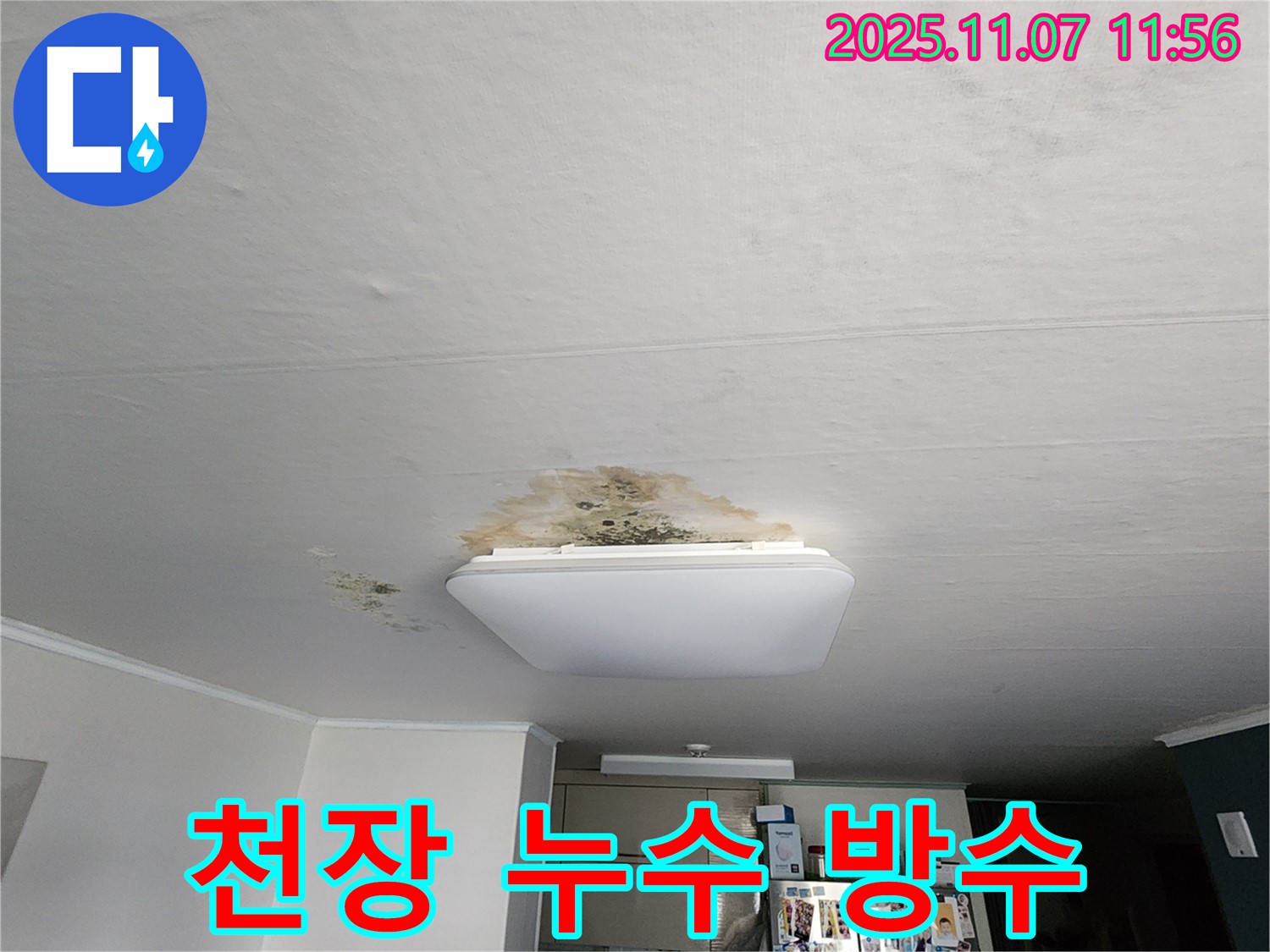 천장 누수 방지 전문 공사 - 확실한 시공으로 누수 걱정 해결