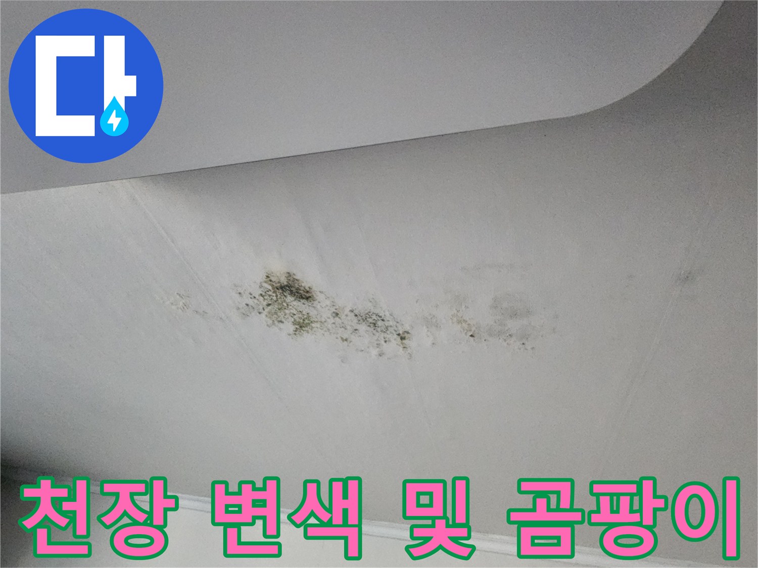 흰색 천장에 나타난 갈색 변색과 검은 곰팡이 흔적 상세 사진