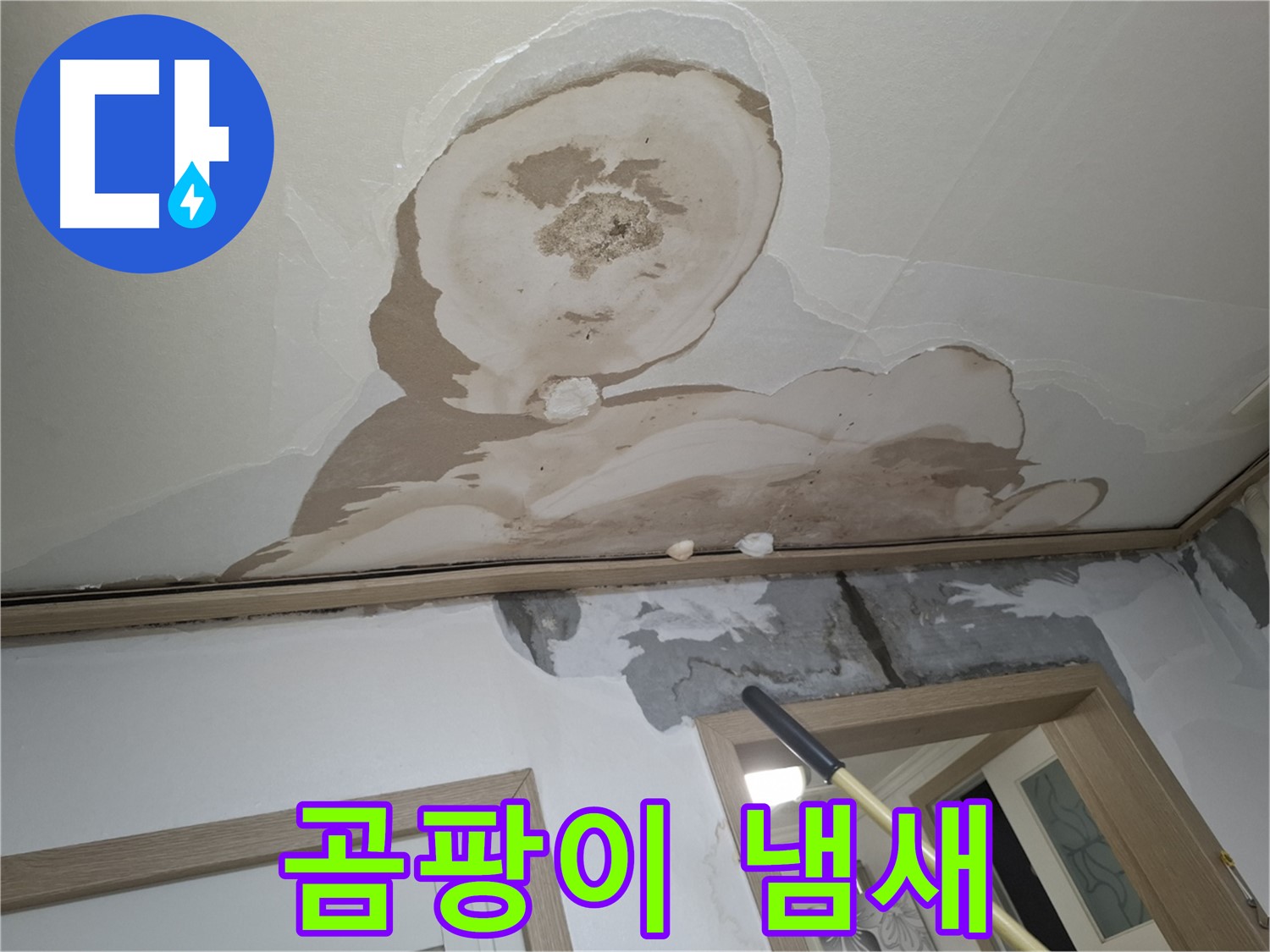 곰팡이 냄새 진동 - 쾌적한 공간, 누수 해결로 되찾자!