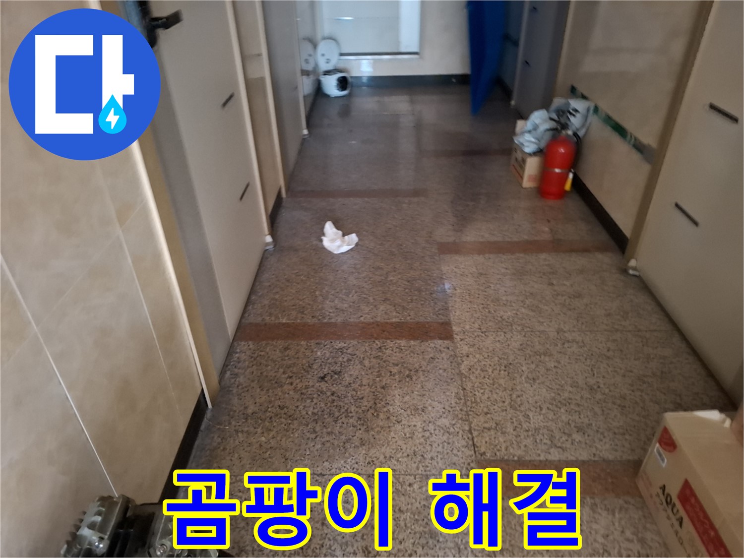 복도 곰팡이 해결 - 확실한 시공 - 신림 누수 전문