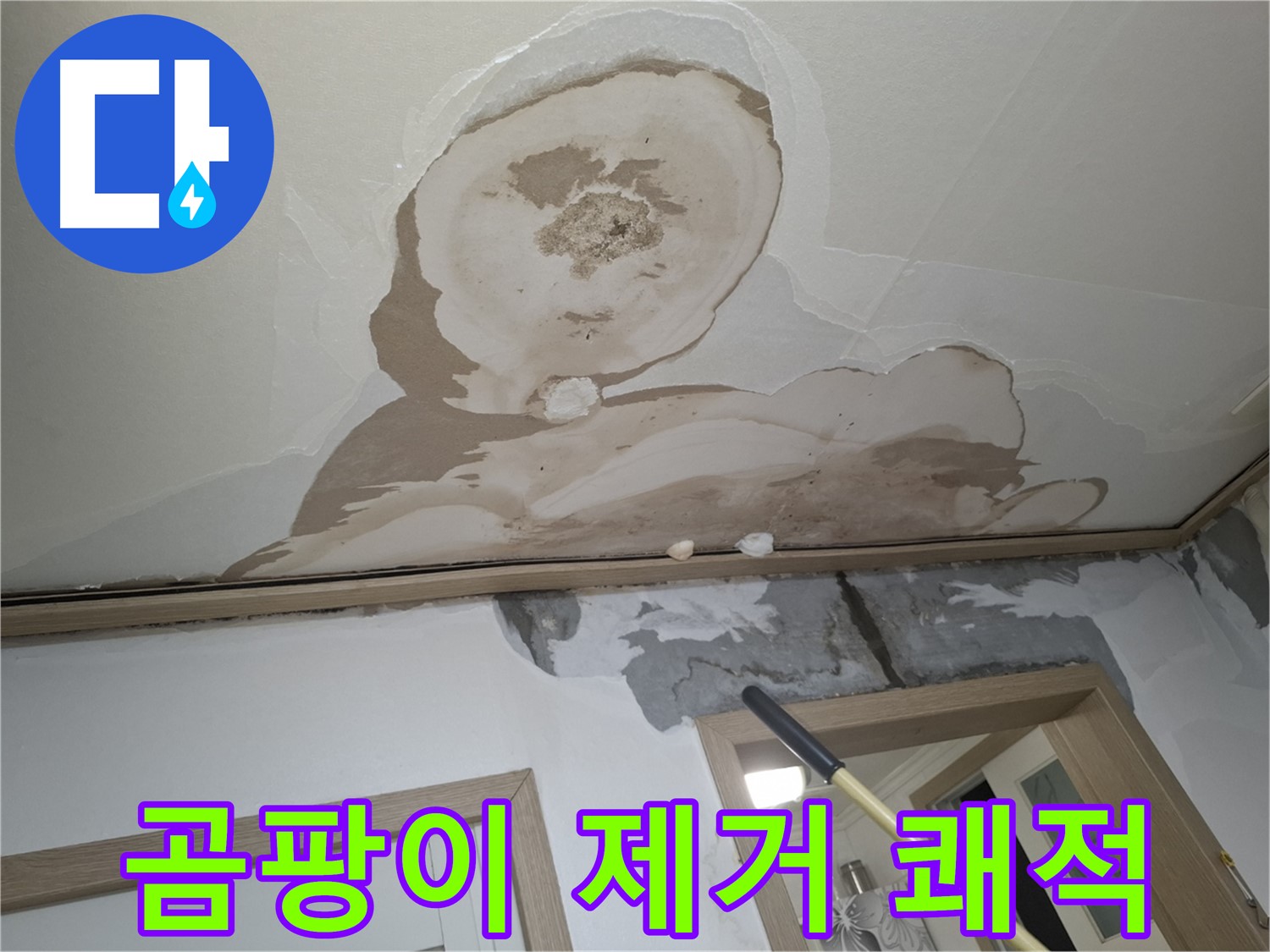 석고보드 곰팡이 제거 - 쾌적한 공간 되찾기!