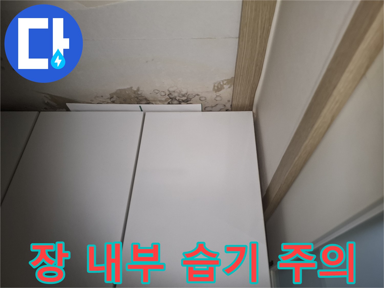 장 내부에 습기가 가득 찬 모습 - 천장 누수가 원인일 수 있습니다.
