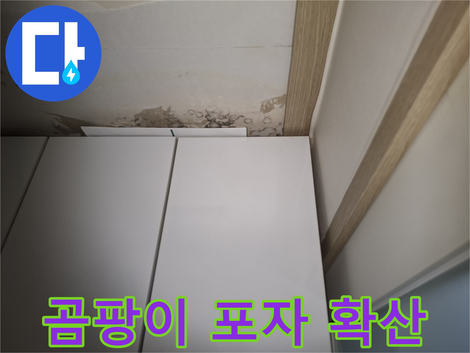 천장 누수로 인해 곰팡이가 발생하고 포자가 확산될 수 있음을 보여주는 사진입니다.