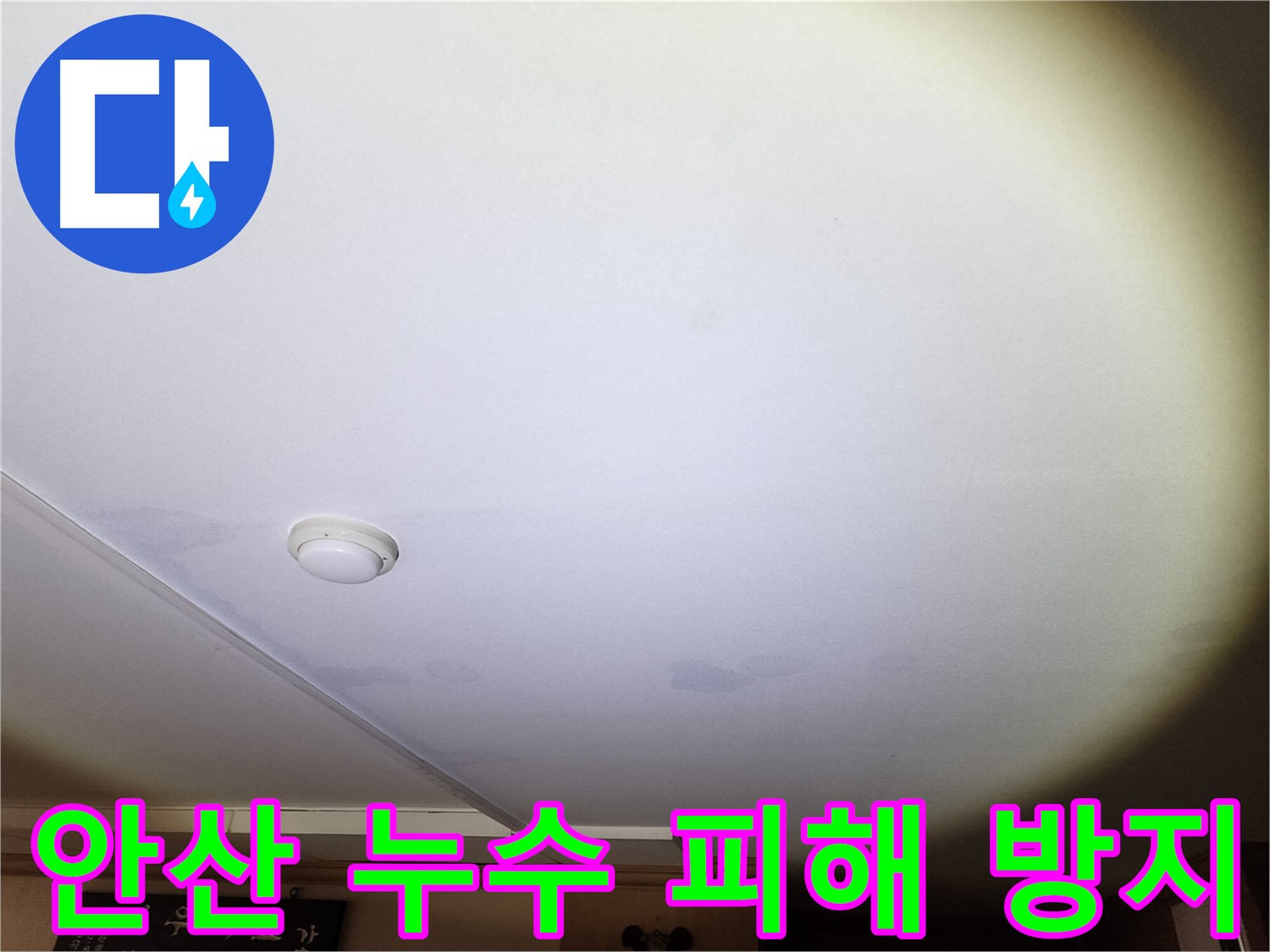 곰팡이가 발생하기 시작한 천장 벽지 - 누수 피해 확산 방지를 위한 신속한 누수 원인 해결 필요