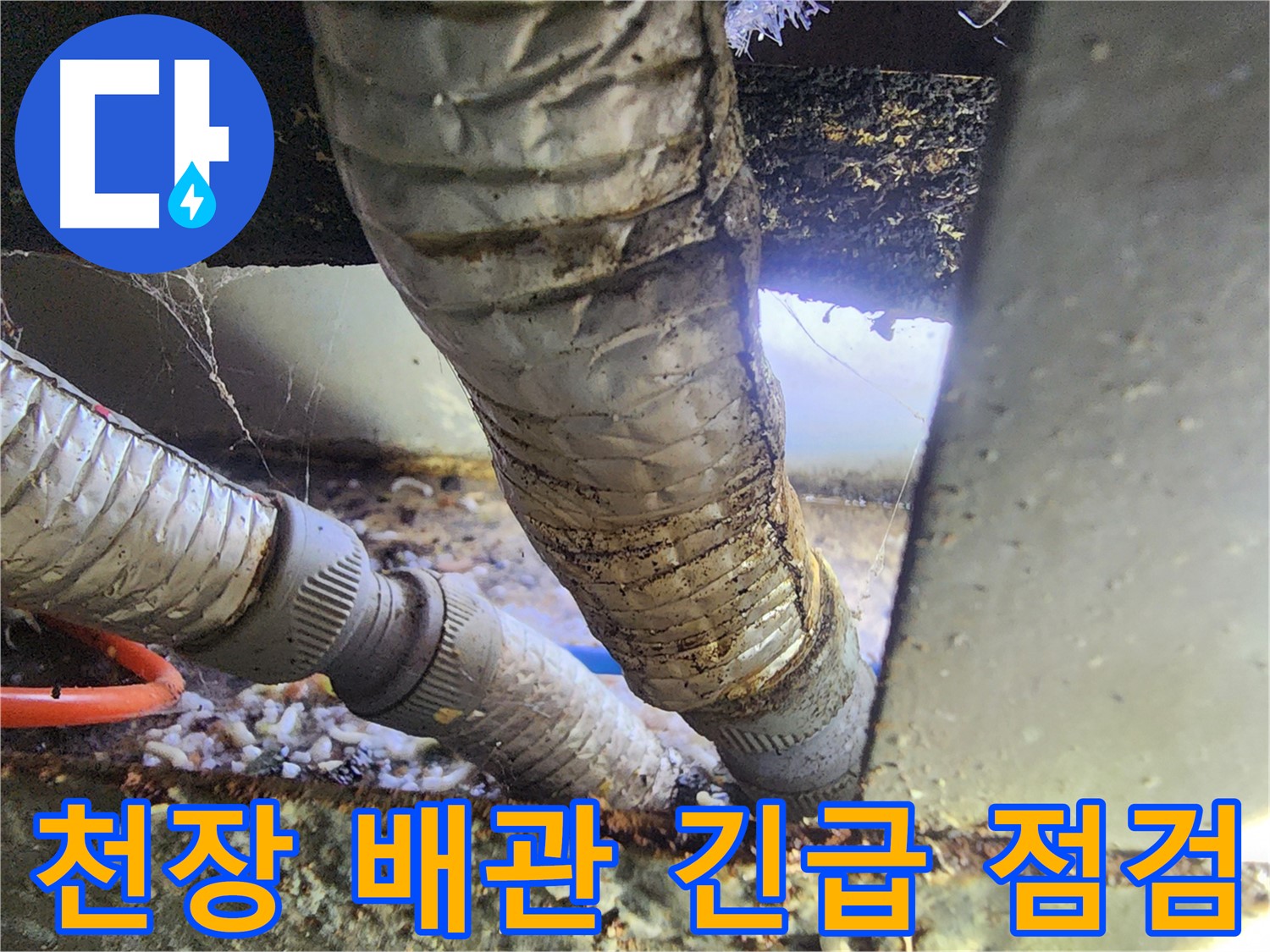 원곡동 푸르지오 천장 배관 누수 - 노후 배관 연결부에서 누수 발생
