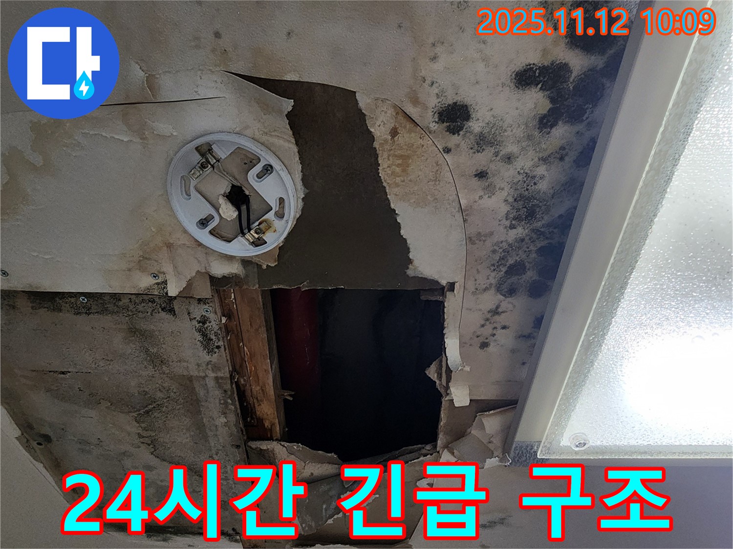 24시간 긴급 누수 - 곰팡이 핀 천장, 빠른 방문으로 곰팡이 공포 해결