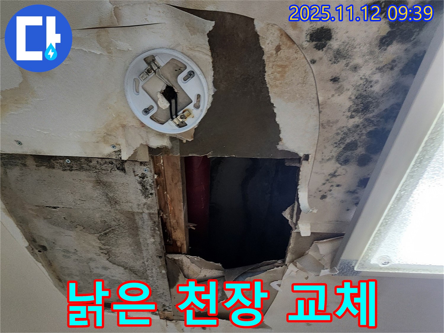 낡고 손상된 천장 - 누수로 인해 낡고 손상된 천장, 교체 및 산뜻한 새로운 단장 필요