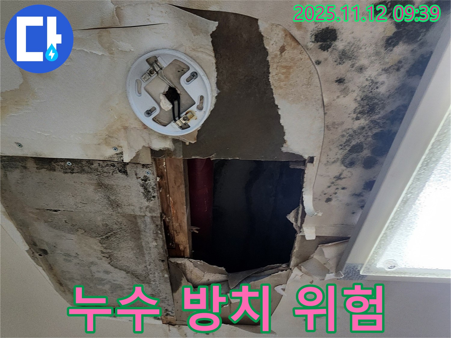 누수 방치 시 위험 - 천장 손상, 곰팡이 발생, 전기 누전 등 심각한 문제 발생 가능성, 빠른 점검 필수