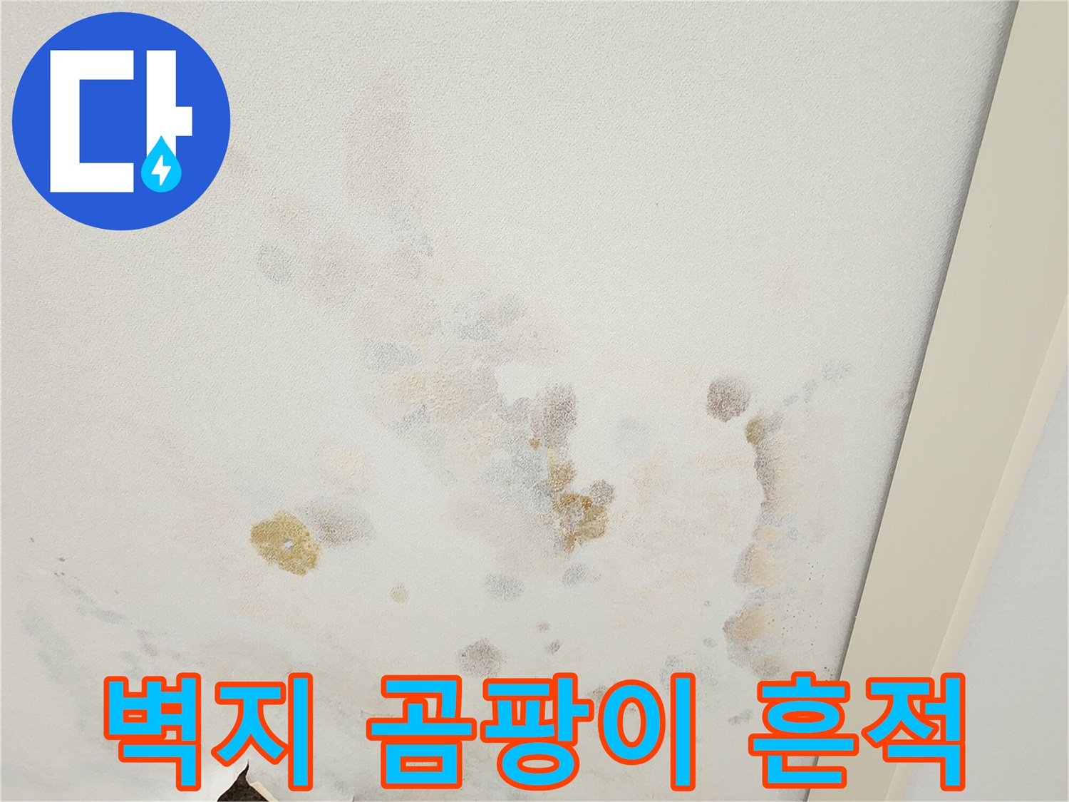 누수로 인한 벽지 표면의 갈색 얼룩과 곰팡이