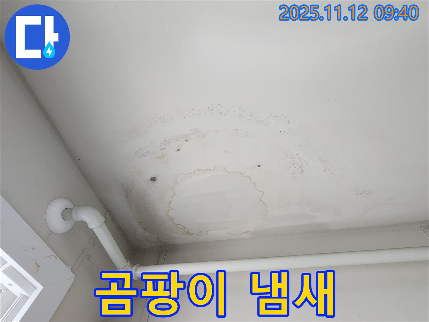 무봉리 누수 - 곰팡이 냄새, 누수 신호!