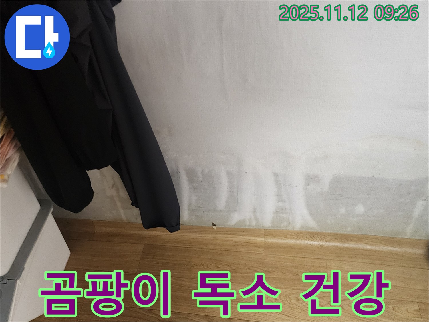 무봉리 누수 - 곰팡이 독소, 가족 건강에 적신호가 켜질 수 있습니다!
