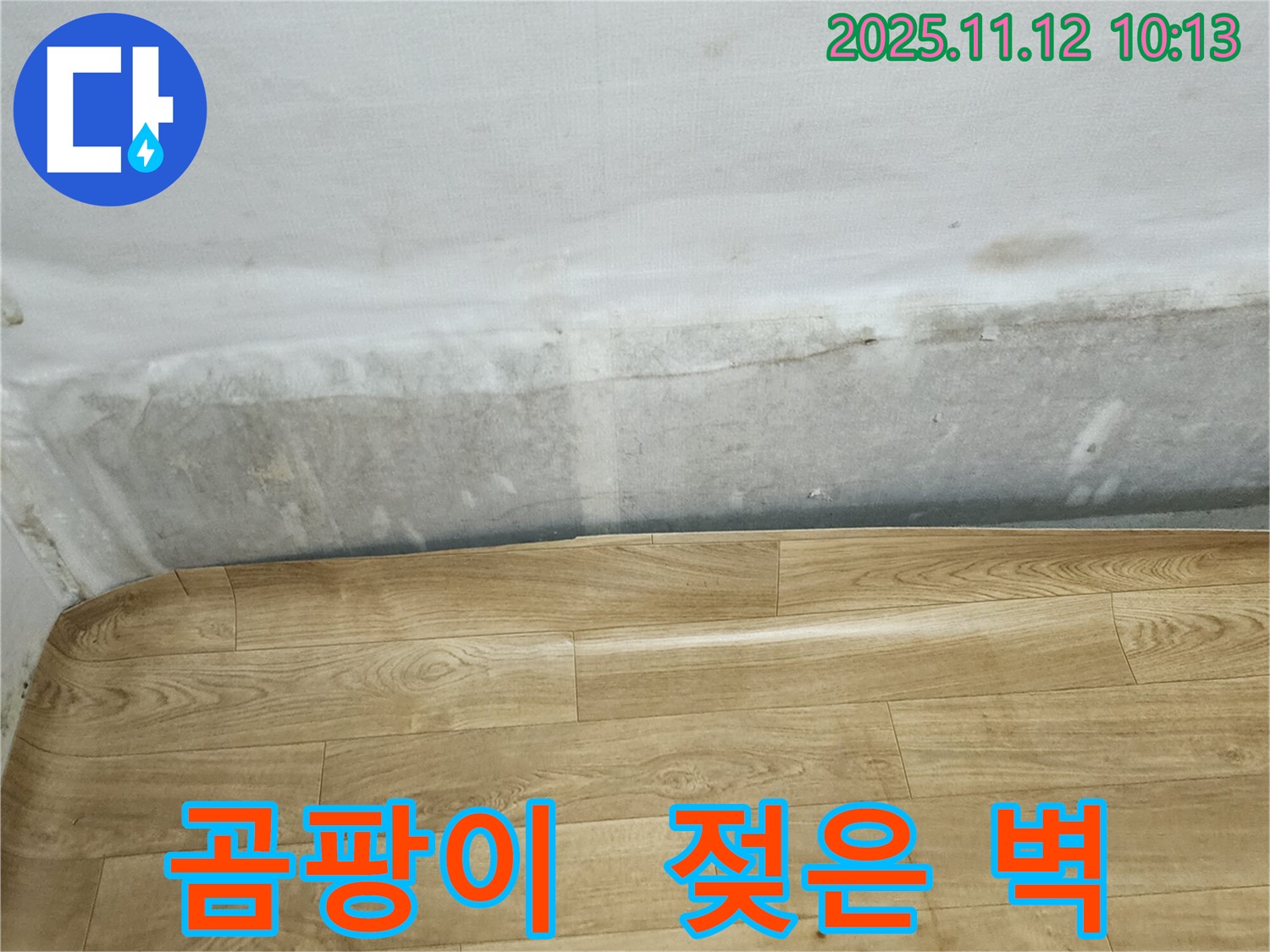 무봉리 누수 현장 - 곰팡이 냄새와 젖은 벽, 누수 초기 증상일 수 있습니다 - 지금 바로 점검하세요.