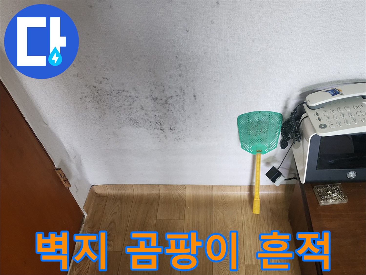 물샘 현상으로 인해 훼손된 벽면의 곰팡이와 변색 부위