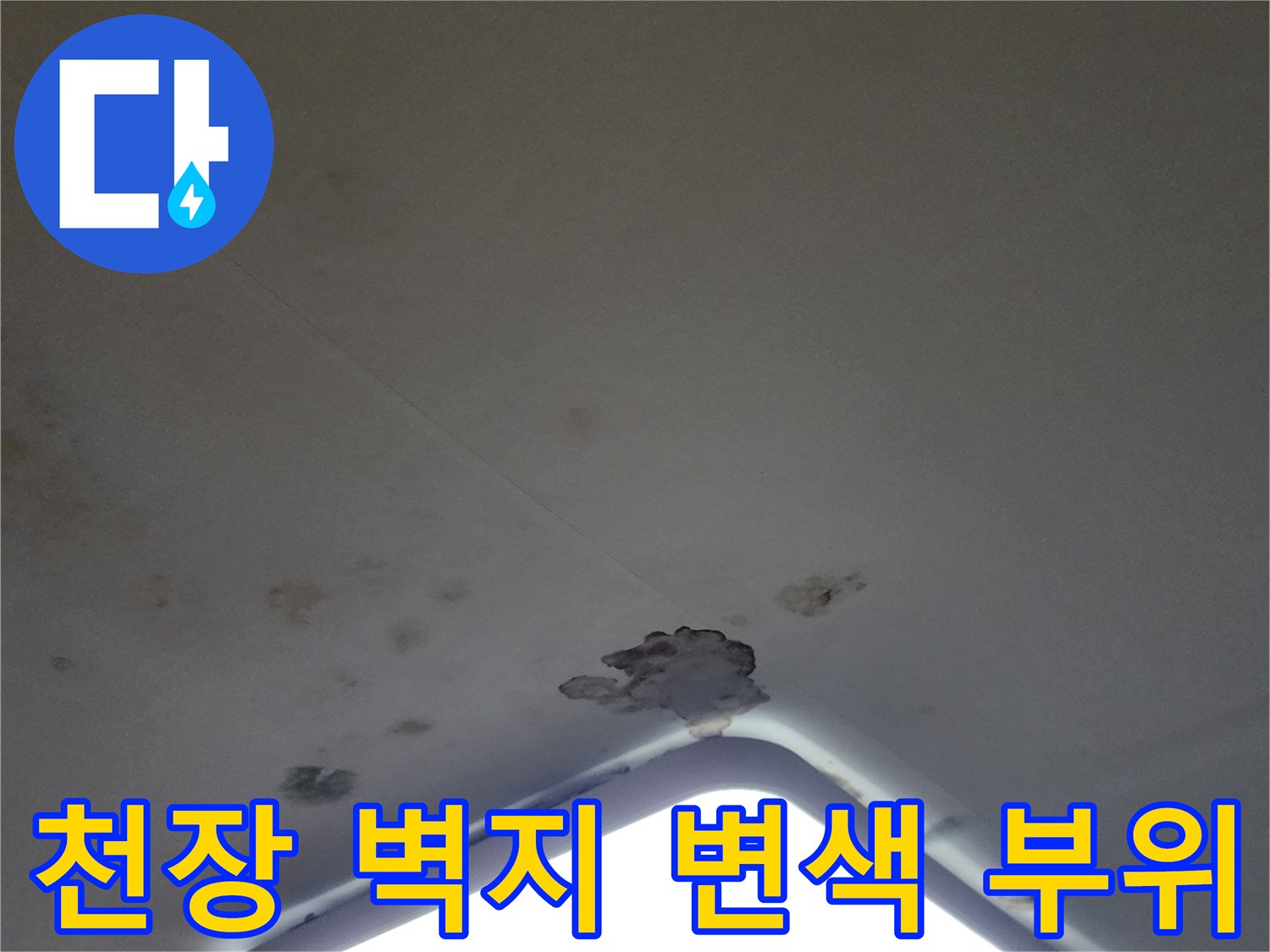 물샘으로 인해 변색된 천장 마감재와 곰팡이 발생 지점
