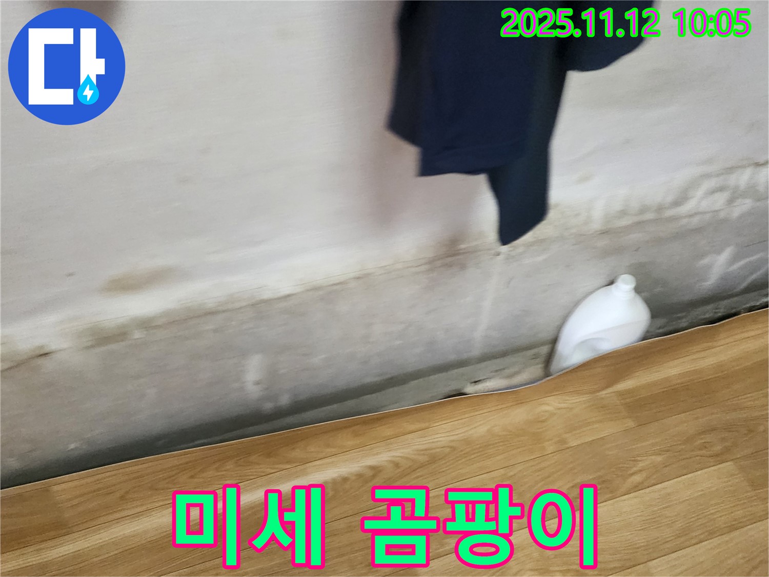미세 곰팡이 - 누수 초기 - 세심 점검