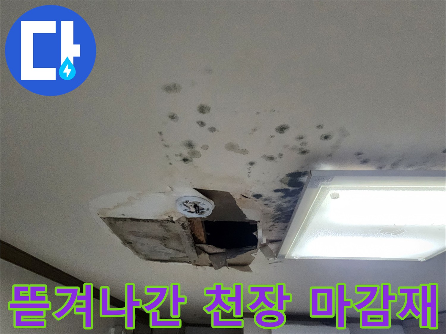 배관 확인을 위해 일부 제거된 천장 내부 및 주변 곰팡이