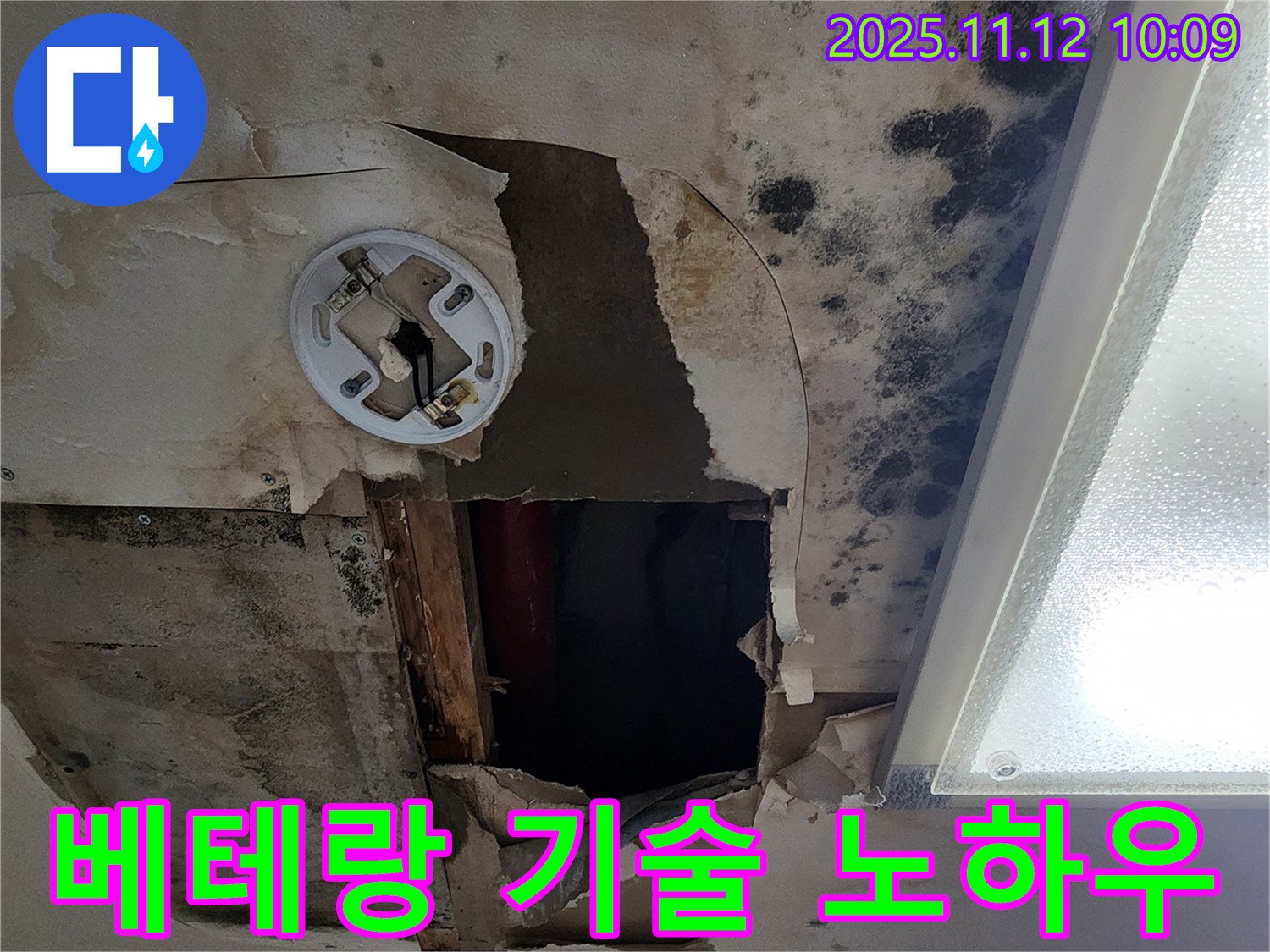 베테랑 기술 노하우 - 곰팡이 천장 누수 완벽 해결