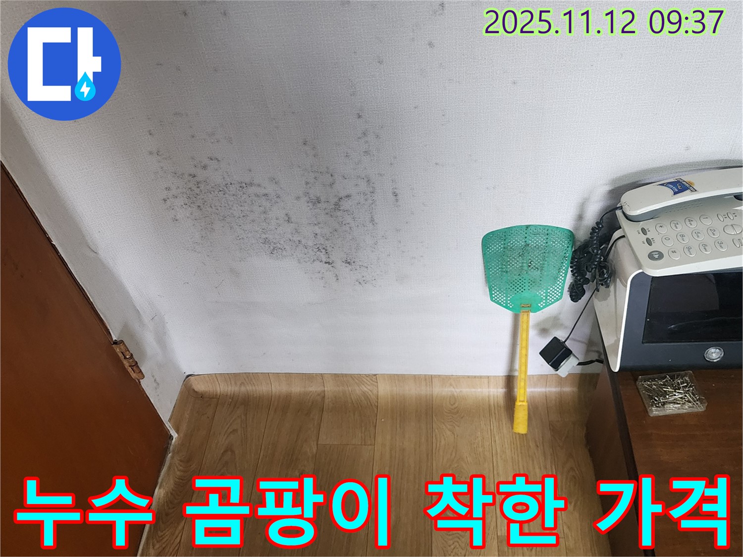 벽 곰팡이 - 누수탐지 후 곰팡이 제거, 재발 방지 시공을 착한 가격으로!