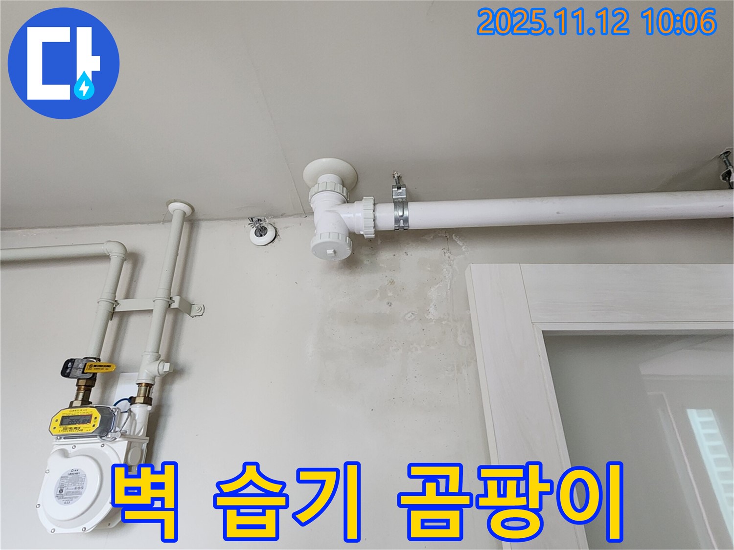 벽에 습기 - 곰팡이 번식 직전, 누수 해결로 쾌적한 공간 만들기!