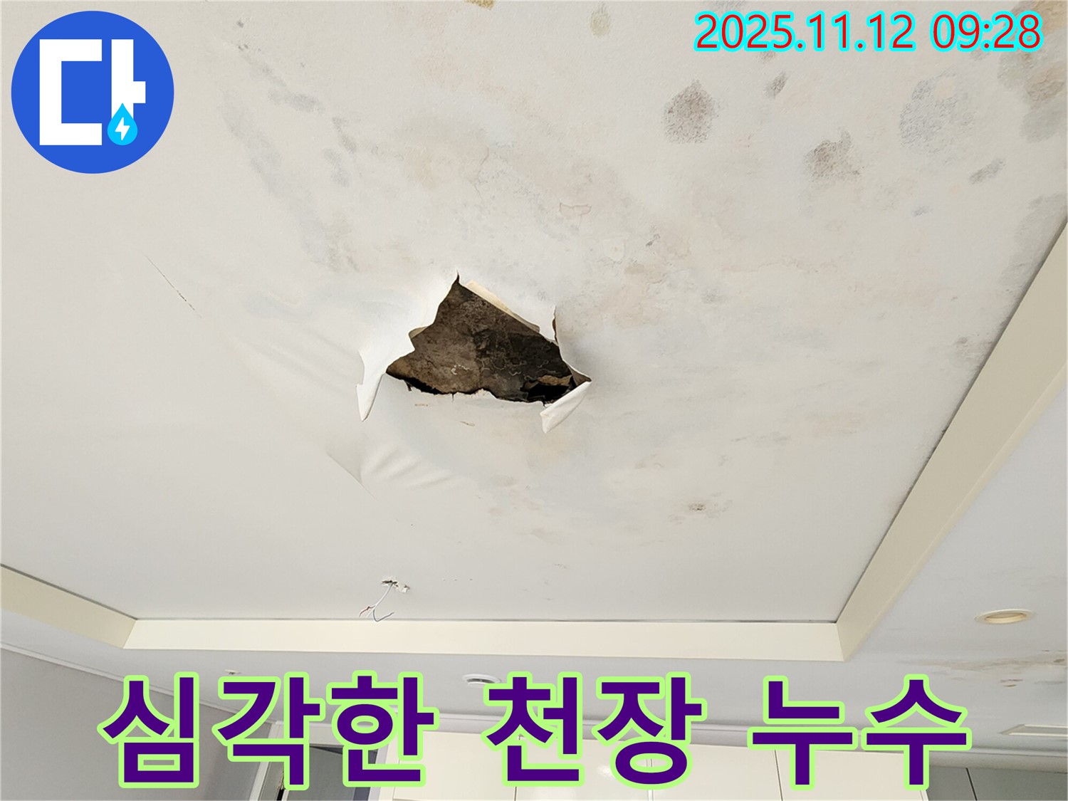 심각한 천장 누수 - 천장 전체에 물이 스며들어 찢어지고, 심각한 누수 피해를 보여주는 사진입니다.