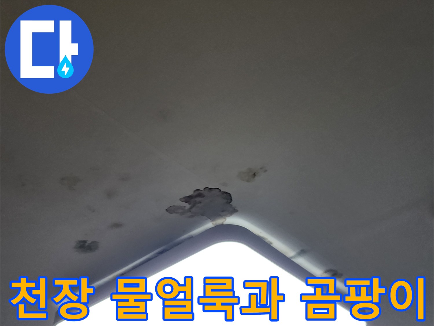 아파트 거실 천장 LED 조명 주변의 물얼룩 및 곰팡이 발생 상태