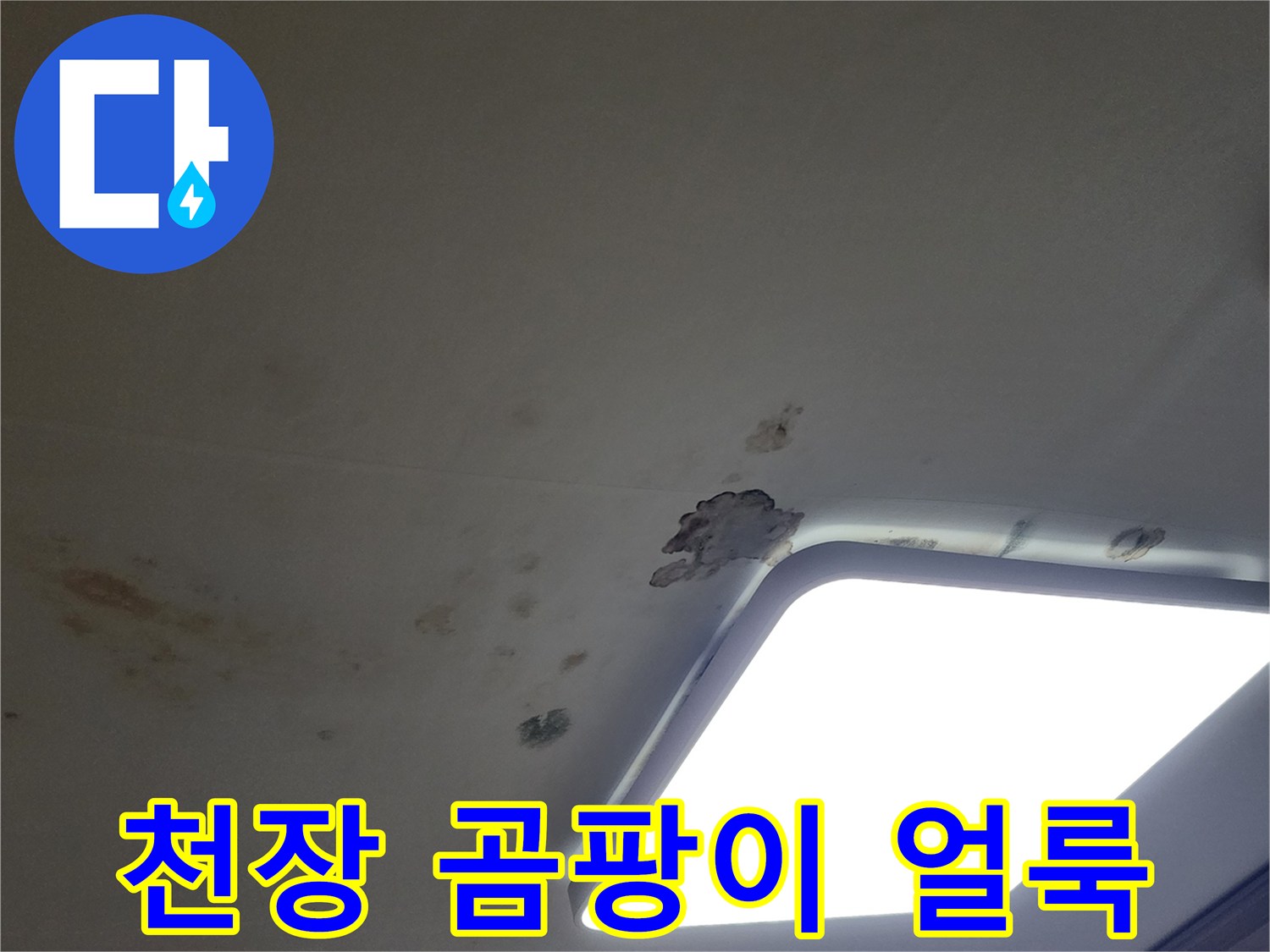 아파트 거실 천장-누수 흔적과 곰팡이가 있는 상태