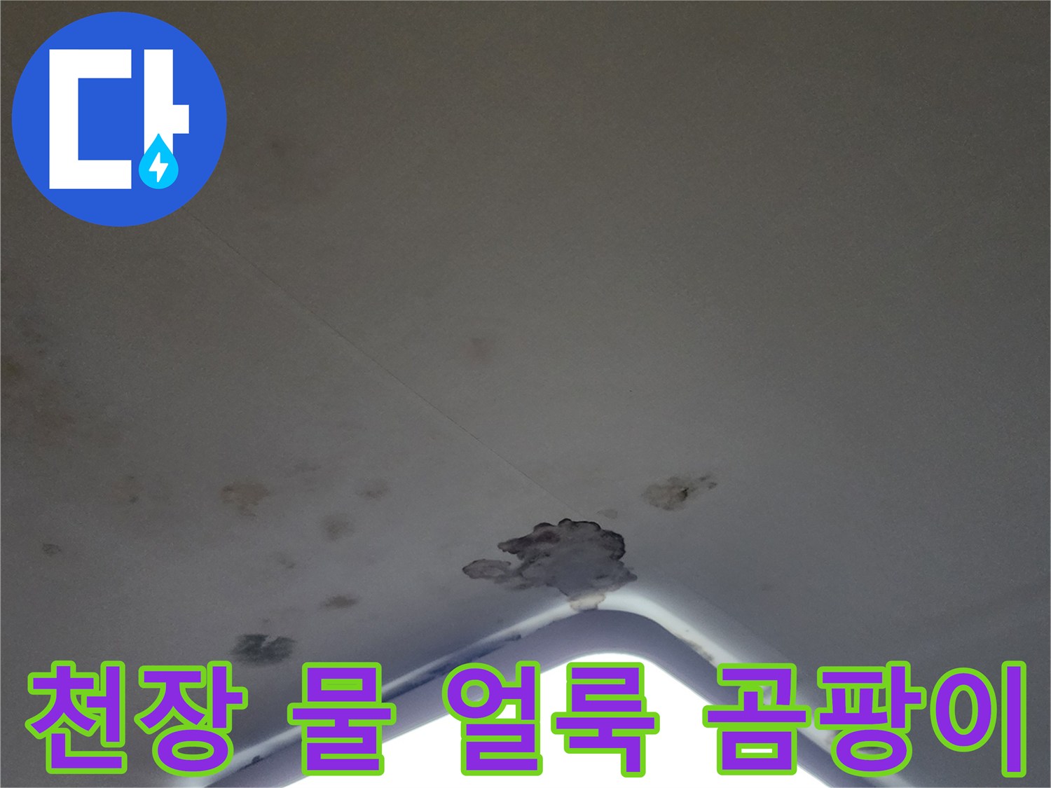 아파트 거실 천장 조명 주변의 물 얼룩과 곰팡이 발생 상태
