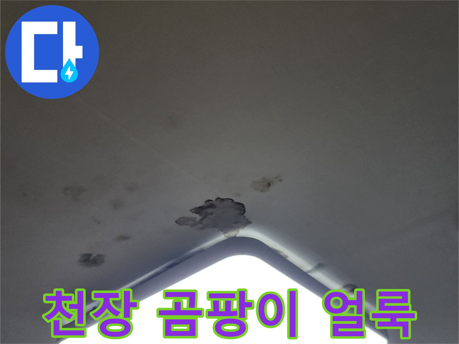 아파트 거실 천장등 주변의 곰팡이와 물얼룩 상태