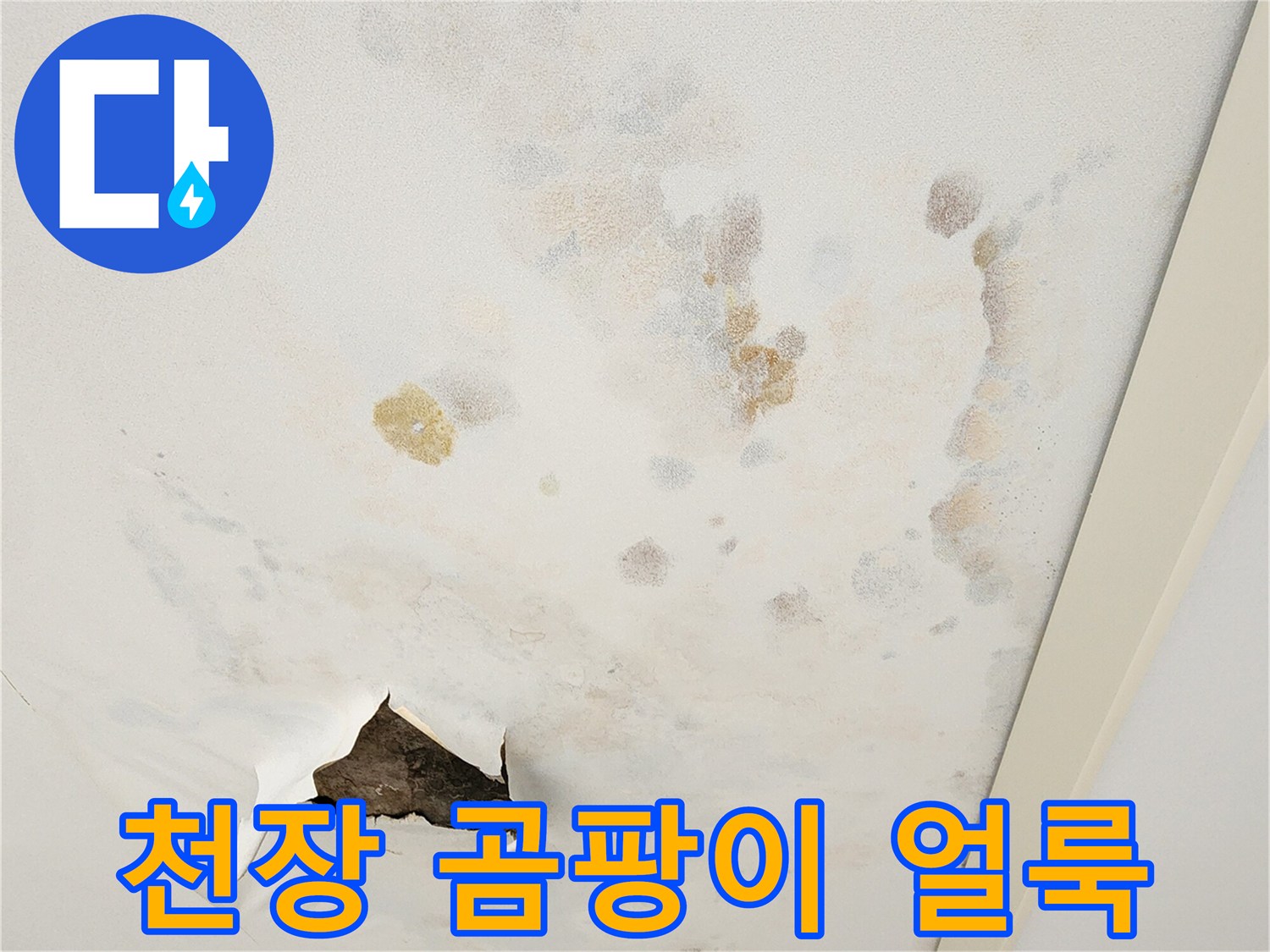 아파트 거실 천장에 발생한 넓은 범위의 물 얼룩과 곰팡이 흔적